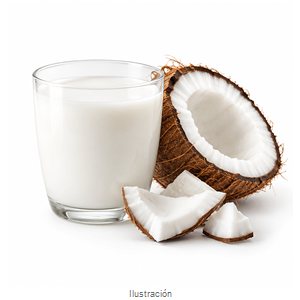 Ilustración: Leche de Coco Tetra Pack 500ml